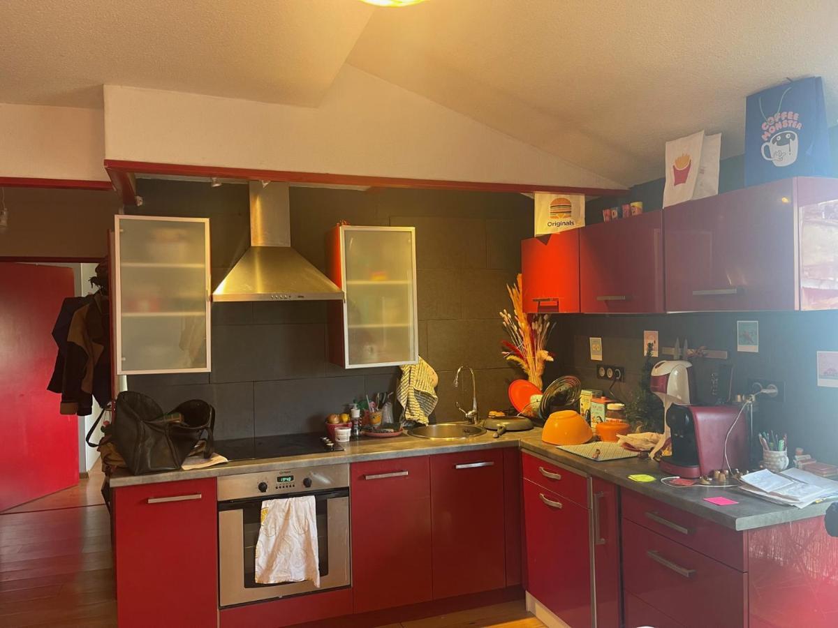 Appartement Au Centre Ville De Тулуза Екстериор снимка